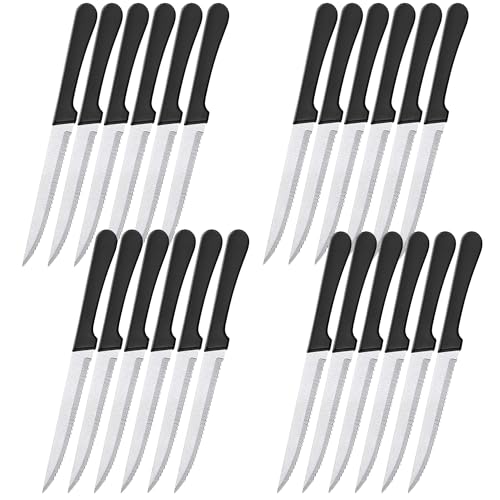 Renimove Cuchillos carne mesa premium de Acero Inoxidable 22 cm hoja de 12 cm resistentes a la corrosión ergonómicos y aptos para Lavavajillas cuchillo carne sierra chuletero (24 uds)