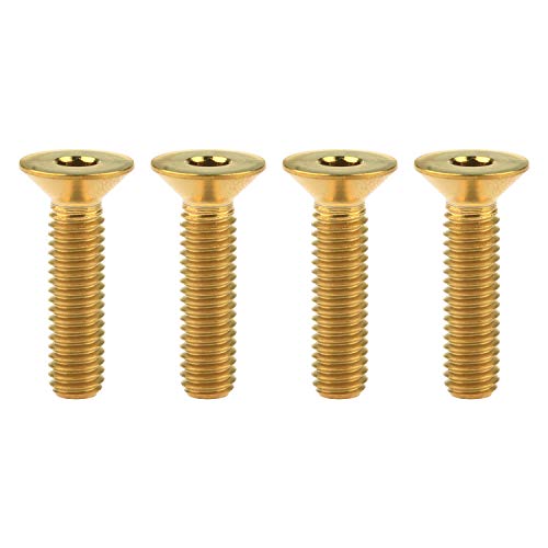 Tornillos de titanio M6x25mm de cabeza hexagonal para moto y bicicleta pack de 4
