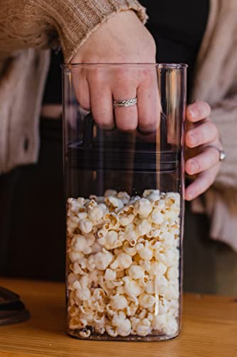 Airscape Lite Plastic Dry Food Storage Canister - Patented Airtight Lid Preserves Food Freshness, Clear Container, Large 10-Inch #TOP6