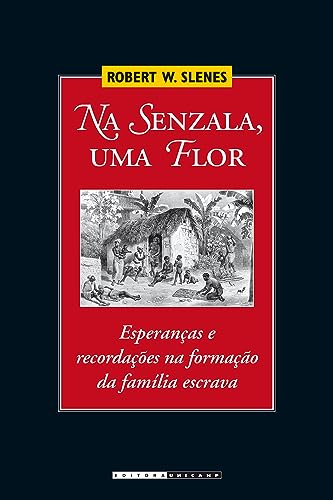 Na senzala, uma flor