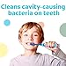 Colgate Kids Powered Vibrating Toothbrush Bluey 1 Pack