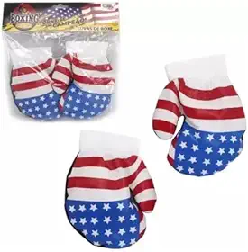 Luvas Boxe Infantil Usa 2 Peças Espuma Ajustável Proteção