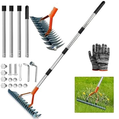 Foto di Rastrello Arieggiatore,Rastrello Sarchiatore Con Manico 170cm,Arieggiatore Manuale a Denti,Rastrello Sarchiatore Aeratore Doppio,Rastrello Muschio,Per Fertilizzare Lawn Thatching Rake Cleaning