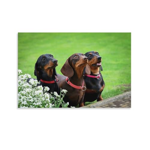 _bNXtg  ̕D |X^[ 8 pl LoX ǃA[g z[A[g[N Ɋ|܂16x24inch(40x60cm)