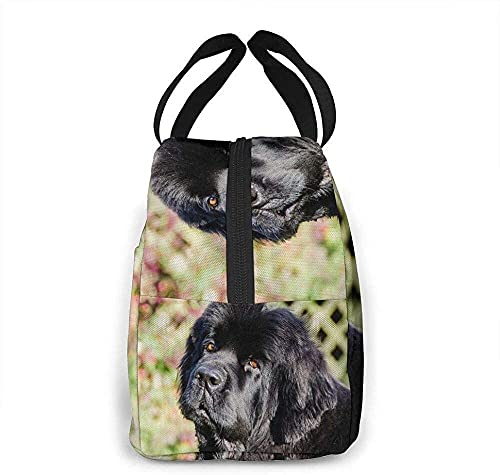 Borsa per il pranzo Borsa per il pranzo nera per cani