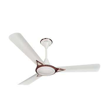 Crompton Avancer Prime 1200 mm (48 inch) Decorative Ceiling Fan with Anti Dust Technology (Conch Cream)