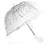 Produktbild Schöner Regenschirm, transparent, durchsichtig Rand in Weiss, Automatik
