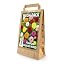 Mega Pack | Pompon Dahlias Mixed