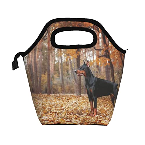 秋の森 ドーベルマン 保冷 がま口 ランチバッグ保温 ファスナー付き コンパクト