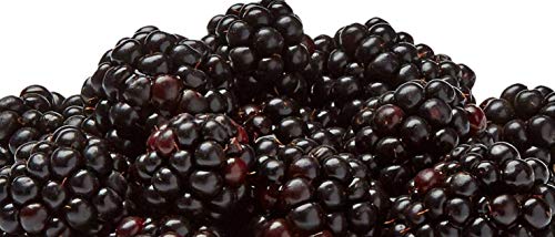 Fresh Produce (Brands May Vary) 0000000042390 Blackberries, 6 Oz thumb #1