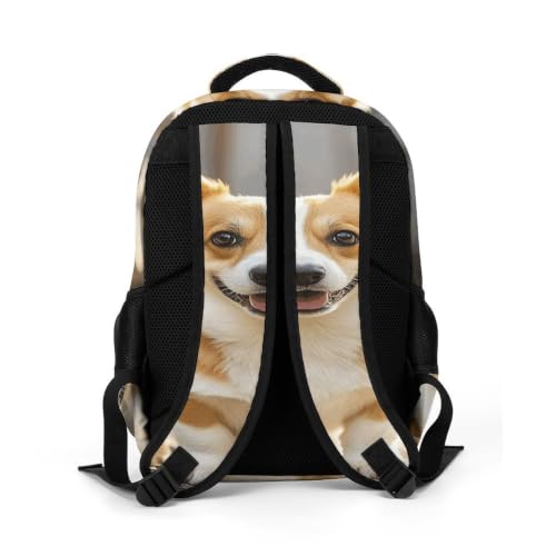 Mochila de viaje de Corgi con compartimento acolchado 5