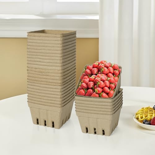 Image of LOUHUA 60 Pcs Natural Pulp Fiber Berry Basket, Small Molded Produce Basket for Strawberry, Blueberry, Raspberry, Vegetable Display, Berry Container for Farmers Market, Grocery Store, Fruit Picking