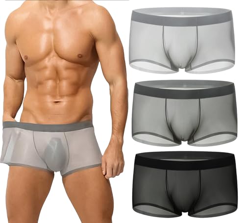 Niksy Underwear, Niksy Men's Ultra-Thin Ice Silk Transparent Boxer Briefs, Transparent & Sheer Underwear for Men