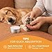 HUTVRACC Lick-Safe Dog Paw & Nose Balm | 2.1 oz All Natural Wax with Coconut Oil & Shea Butter | Winter Snow, Road Salt & Hot Pavement Protector | Moisturizer & Soother for Dry, Cracked Pads & Snouts