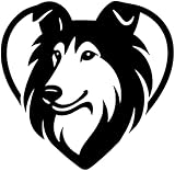 Samunshi