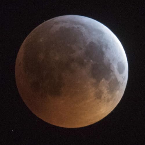 『September 2025 Vedic Astrology Forecast by Kerry Shamblin』のカバーアート