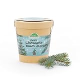 Geschenk Dein Weihnachtsbaum 2030 von Die Stadtgärtner | Christbaum-Anzuchtset mit Fichten-Samen | Inkl. Pflanzbecher, Saatgut und Kokoserde | Als Wichtelgeschenk, zum Nikolaus, für Adventskalender