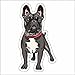 Expelia Autocollant moulé Bulldog français pour voiture, moto, camping-car, PC