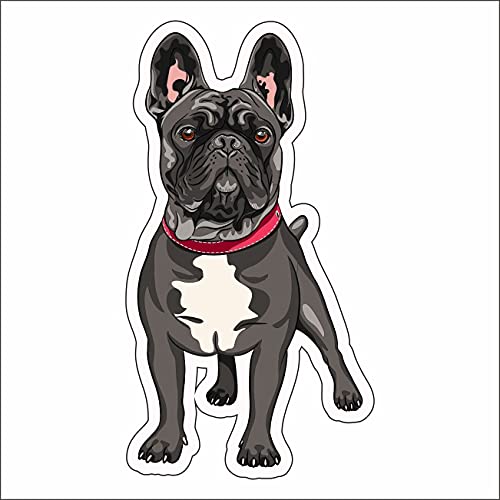 AMA SHOP Adesivo Sagomato Cane razza Bulldog Francese | Adesivi per Auto | Sticker per Casco, Moto, Camper | Adesivo in PVC per Decalcomania Vetrofanie Parete, Murale