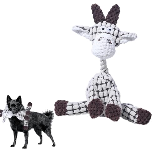 Lifetips XLbp[Li schipperke j pʂ  XNC[J[ JVJV {AR[fC y v @OK ^ q VjA XgX p pʂ  XNC[J[ 