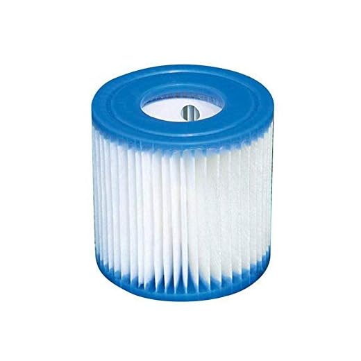 Curroxer 2 st simbassängfilter utbytbart tvättbart filterpatron, pooler simbassäng filter pumptyp, uppblåsbart poolfilter för typ H
