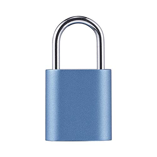 Blocco dell'impronta digitale Smart Mini lucchetto IPX7 Riconoscimento dell'impronta digitale impermeabile per lo zaino della scuola dell'armadietto dei bagagli della porta (Color : A) (A)
