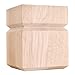 Shaker Style 4.5 in. Bunn Foot (Maple)