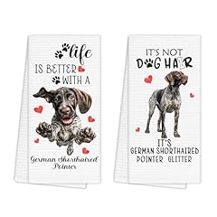 German Shorthaired Pointer
