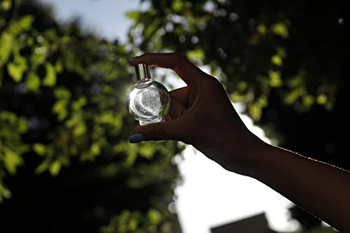 Alyssa Ashley Musk 0.5 Oz Perfumed Oil For Women #TOP7