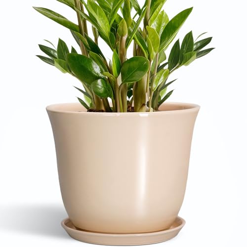 SUNPOTFOR Ceramic Planter - 10 Inch Plant Pot for Indoor