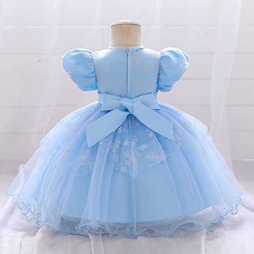 Hularka Baby Girls Round Neck Puff Sleeve Baptism Christening Gowns Embroidery Fluffy Tulle Flower Girls Dress Sky Blue 18-24 Months #TOP1