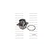 Motorcraft - Water Pump (P) (PW516)