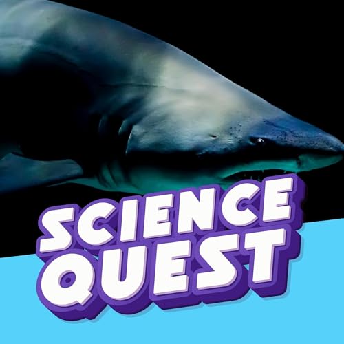 What's The Most Dangerous Animal in the Ocean?🦈🌊