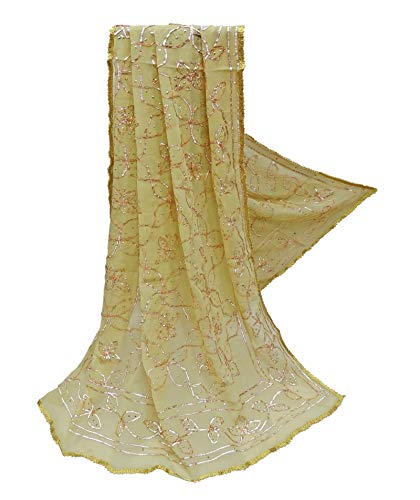 PEEGLI Stola Lunga Di Gota Etnica Vintage Indiana Donna Dupatta Georgette Miscela Rajasthan