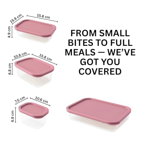 Image of Femora Borosilicate Glass Food Storage Containers with Lids Set of 6 (310ml x2, 520ml x2, 750ml, 1200ml | Rectangular, Airtight & Leakproof | Microwave & Dishwasher Safe | Maroon