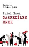 emeklilik hesaplama program? excel  Eviçi Emek - Gaspedilen Emek
