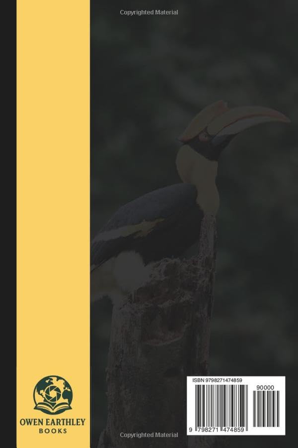 Picture Book of Vibrant Tropical Birds: A Beautiful Collection of Real Bird Photography for Seniors Living with Memory Loss, Alzheimer’s, or Dementia ... from the Tropics (Birds Coffee Table Books) - Image 2