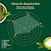 Imagen de VAHDAM te Matcha en Polvo 100g