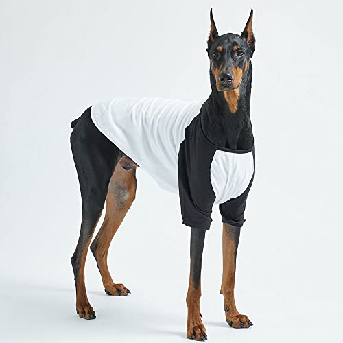 Lucky Petter Dog Cotton Shirts For Small And Large Dogs Raglan T-Shirts Soft Breathable Dog Shirt Pet Clothes (X-Large, White/Black) #TOP2