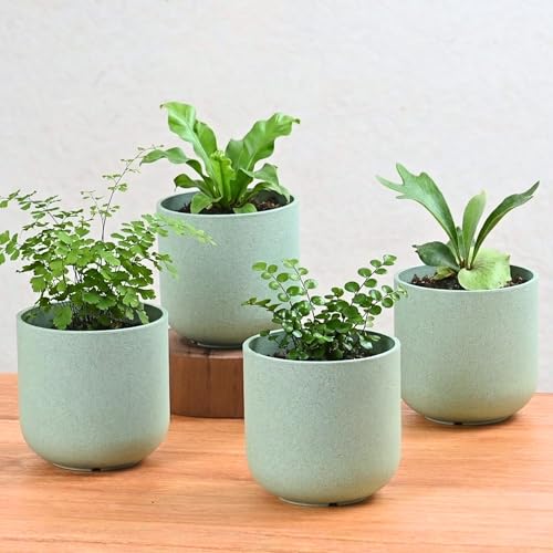 Image of Eha Earth-Friendly Terrapod Planters for Home Decor | 3.5 Inch, Pack of 4 | Small Plant Pot Made with Rice Husk Biocomposite | Flower Pot for Living Room | Celeste