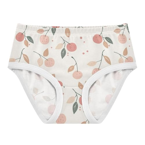 ZZKKO Cute Cherry Farmhouse Girls Underwear Toddler Panties for Girls Comfort Brief Size 2-8T