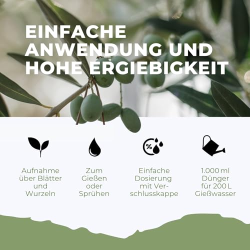 Flora Boost Olivenbaum Dünger Flora Boost 1000ml I Für bis zu 200L Gießwasser I Langzeitdünger für verbesserte Blütenbildung I Flüssiger Blatt- & Wurzeldünger I 100% natürlicher Pflanzendünger