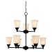 Sea Gull Lighting 31792-862 Chandelier