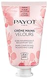 PAYOT