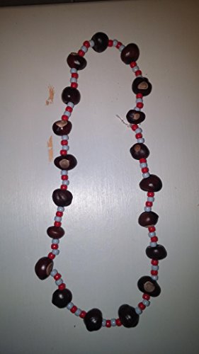 Ohio Buckeye Tree Necklace2