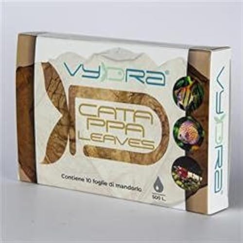 Vydra Catappa Leaves - 10 hojas de catapa, almendra, indio, acuario dulce