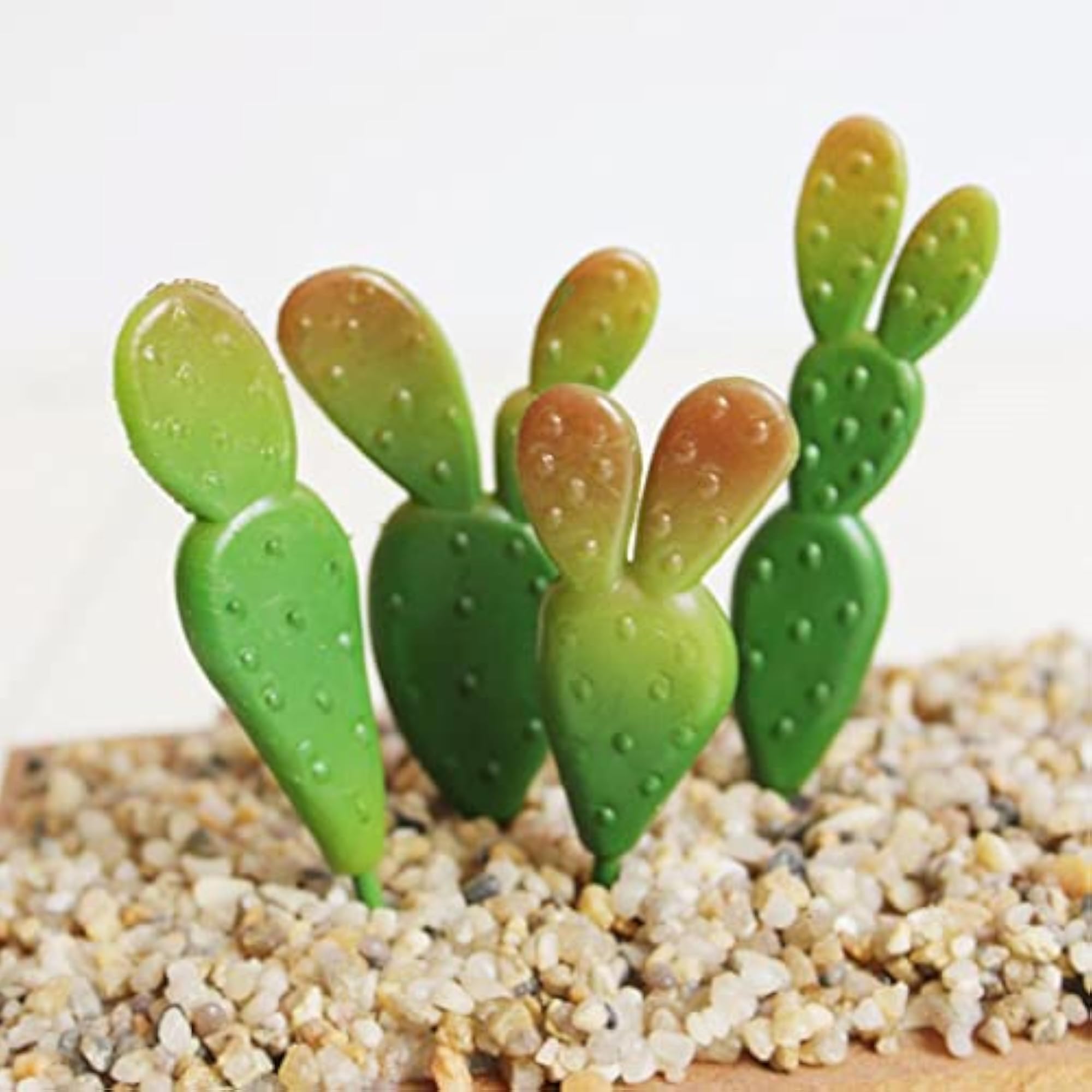Artificial Succulent Plant Cactus Home Decor, 4 Pieces
