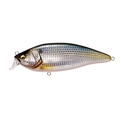 Megabass KONOSIRUS SHAD(F) FA �R�m�V��