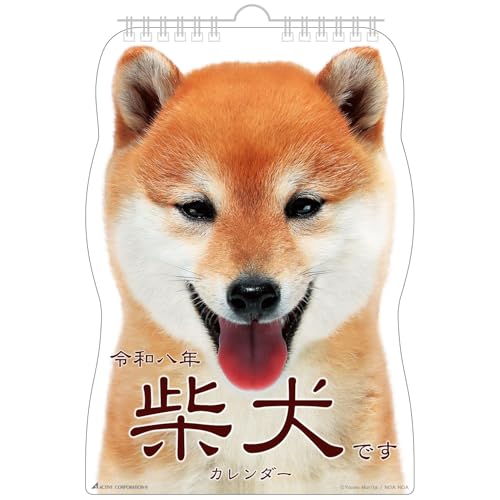 アクティブコーポレーション 2026 カレンダー 壁掛け 柴犬です 26ACL-65 2026年 1月始まりのサムネイル