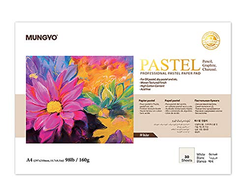 MUNGYO Professional Pastel Paper Pad A4 Size for...